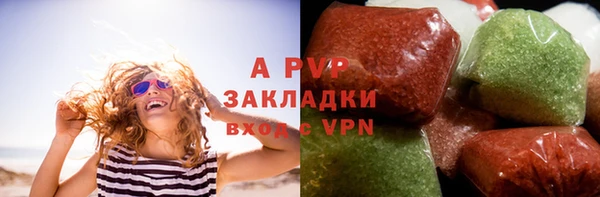 стафф Арсеньев