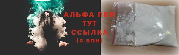 стафф Арсеньев