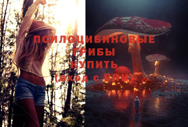 марки lsd Аркадак