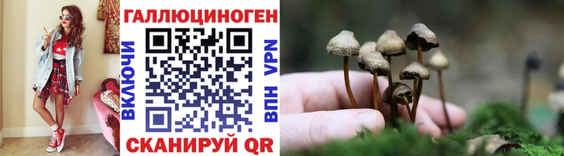 Псилоцибиновые грибы Cubensis  Трёхгорный 